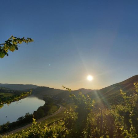 Ferienwohnungen Zum Niederberg Lieser Exterior foto