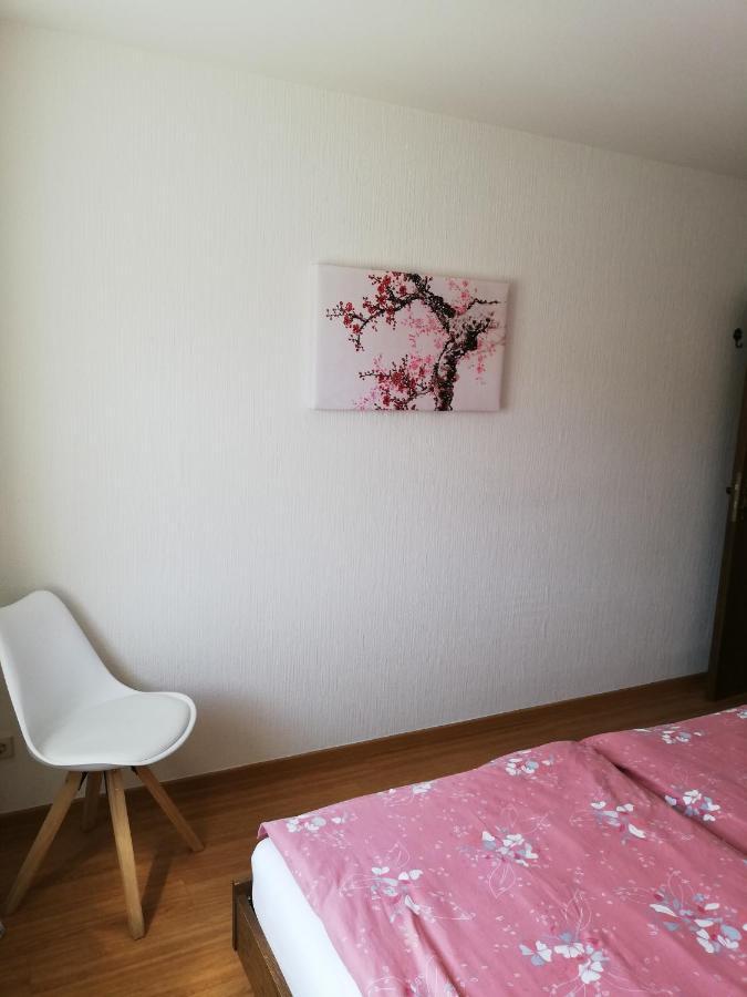 Ferienwohnungen Zum Niederberg Lieser Exterior foto